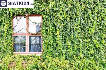 Siatki Sokółka - Siatka z dużym oczkiem - wsparcie dla roślin pnących na altance, domu i garażu dla terenów Sokółki